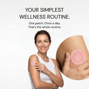 Metabolism Bundle