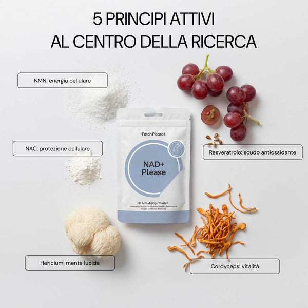 5 principi attivi: NMN, resveratrolo, cordyceps, hericium, NAC